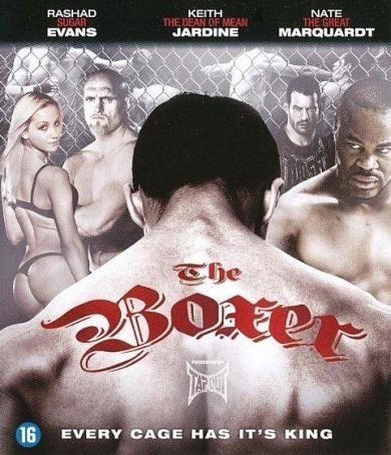 Cover van de film 'Boxer'