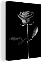 Canvas Schilderij Een roos op een zwarte achtergrond - zwart wit - 30x40 cm - Wanddecoratie