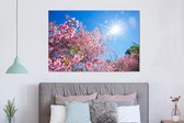 Wanddecoratie Metaal - Aluminium Schilderij Industrieel - Sakura - Bloemen - Roze - 150x100 cm - Dibond - Foto op aluminium - Industriële muurdecoratie - Voor de woonkamer/slaapkamer