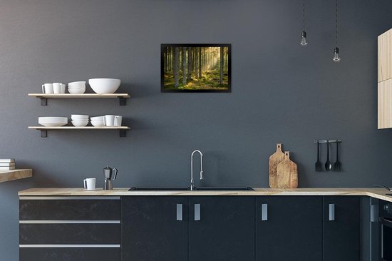 Affiche avec cadre Forêt - Arbre - Soleil - 30x20 cm