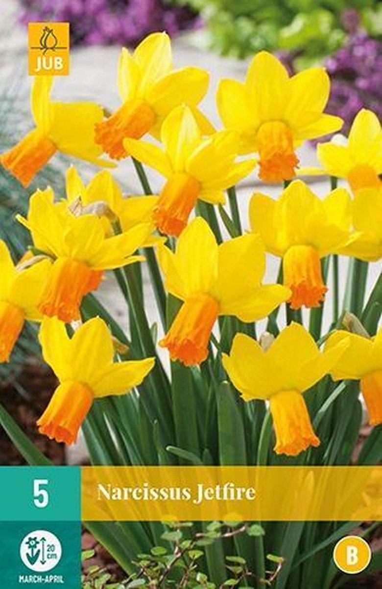 X 5 Narcissus Jetfire