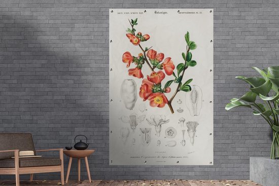 Décoration murale Plante - Vintage - Botanica - 120x180 cm - Affiche jardin - Toile jardin