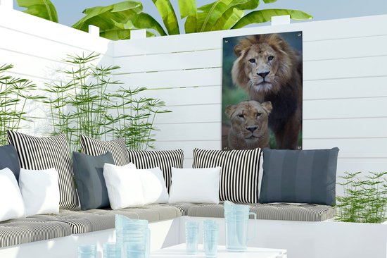 Poster Jardin Lion et Lionne 40x60 cm - petit - Toile de jardin / Toile d'extérieur / Peintures d'extérieur (décoration de jardin)