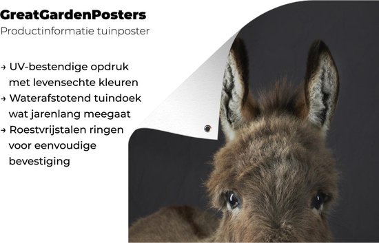 Portrait chevalet Affiche de jardin 100x200 cm - Toile de jardin / Toile d'extérieur / Peintures d'extérieur (décoration de jardin) XXL / Groot format!