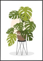 Poster monstera plant - 20x30 cm
