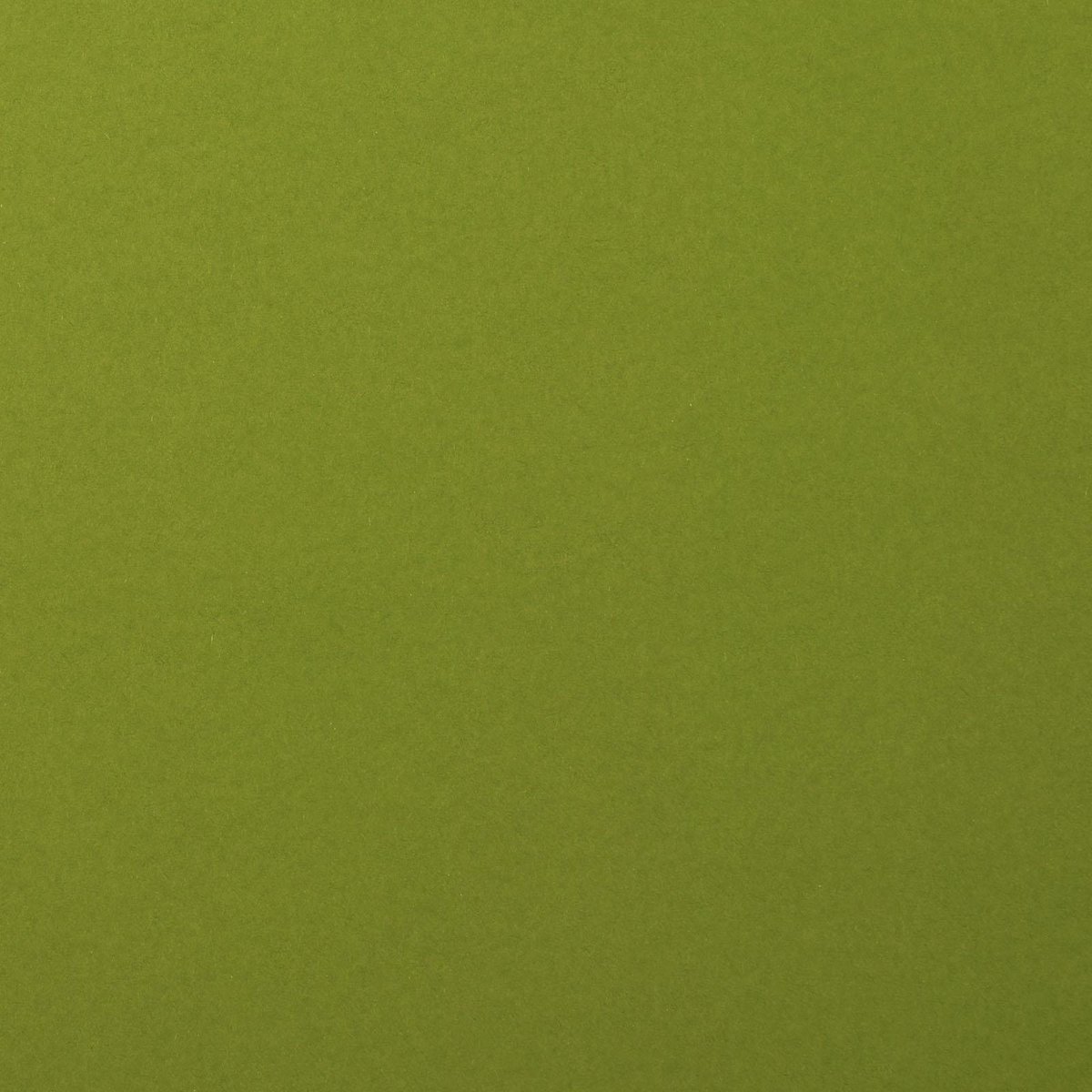Florence Karton - Olive - 305x305mm - Gladde textuur - 216g