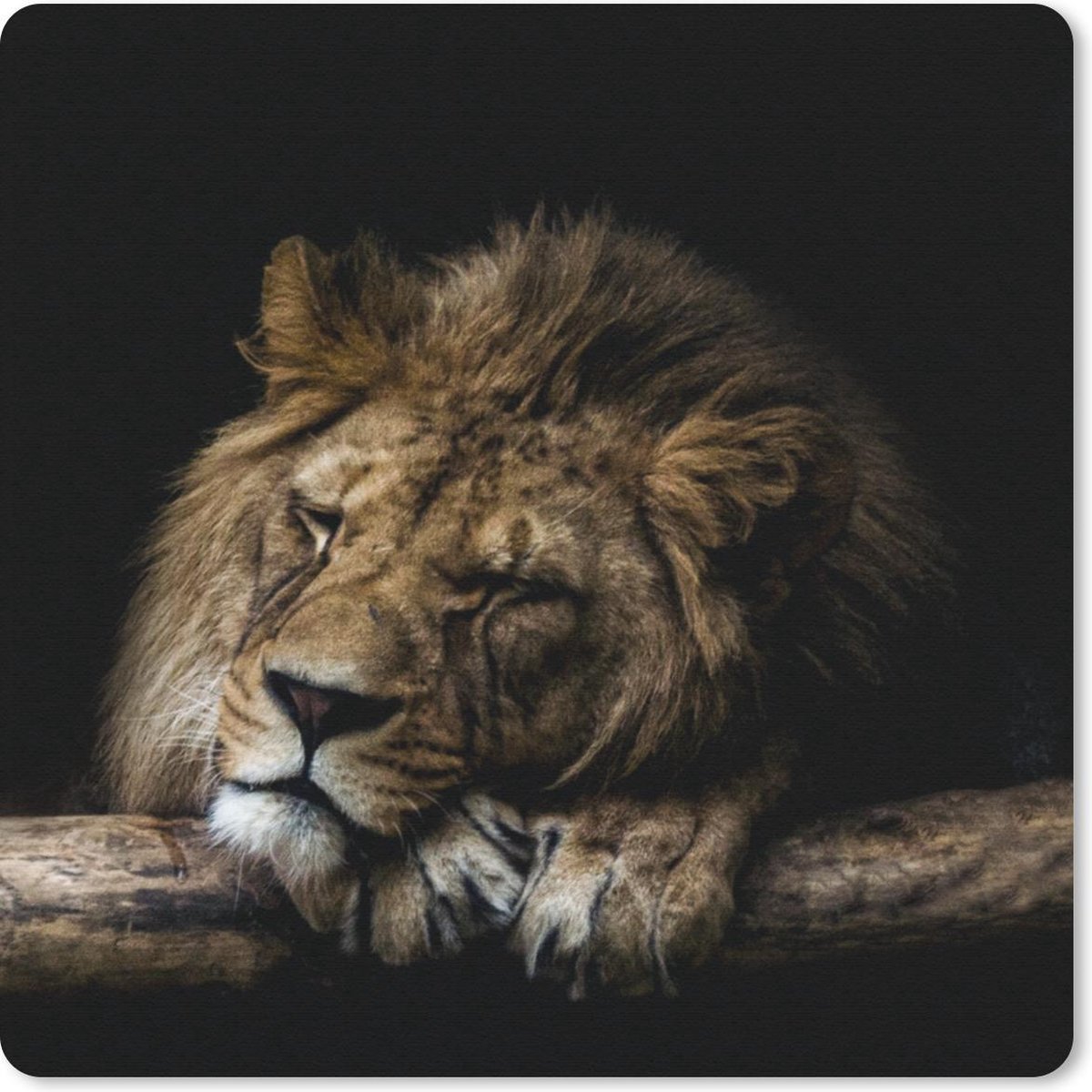 Muismat 30x30 cm - Mousepad Leeuw - Boom - Bruin - Muismatten