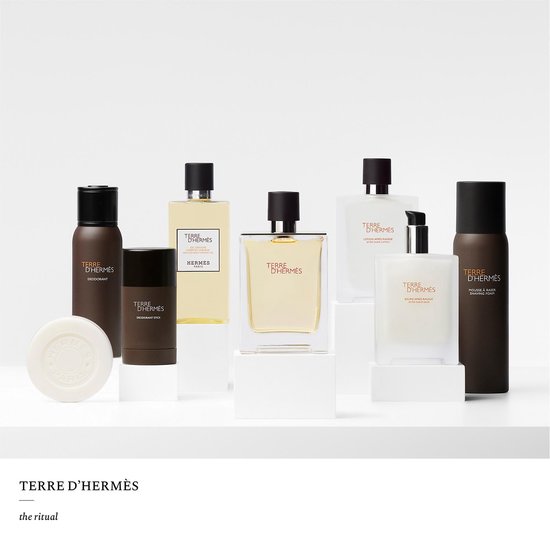 Hermès Terre d'Hermès - 200 ml - eau de toilette spray - herenparfum