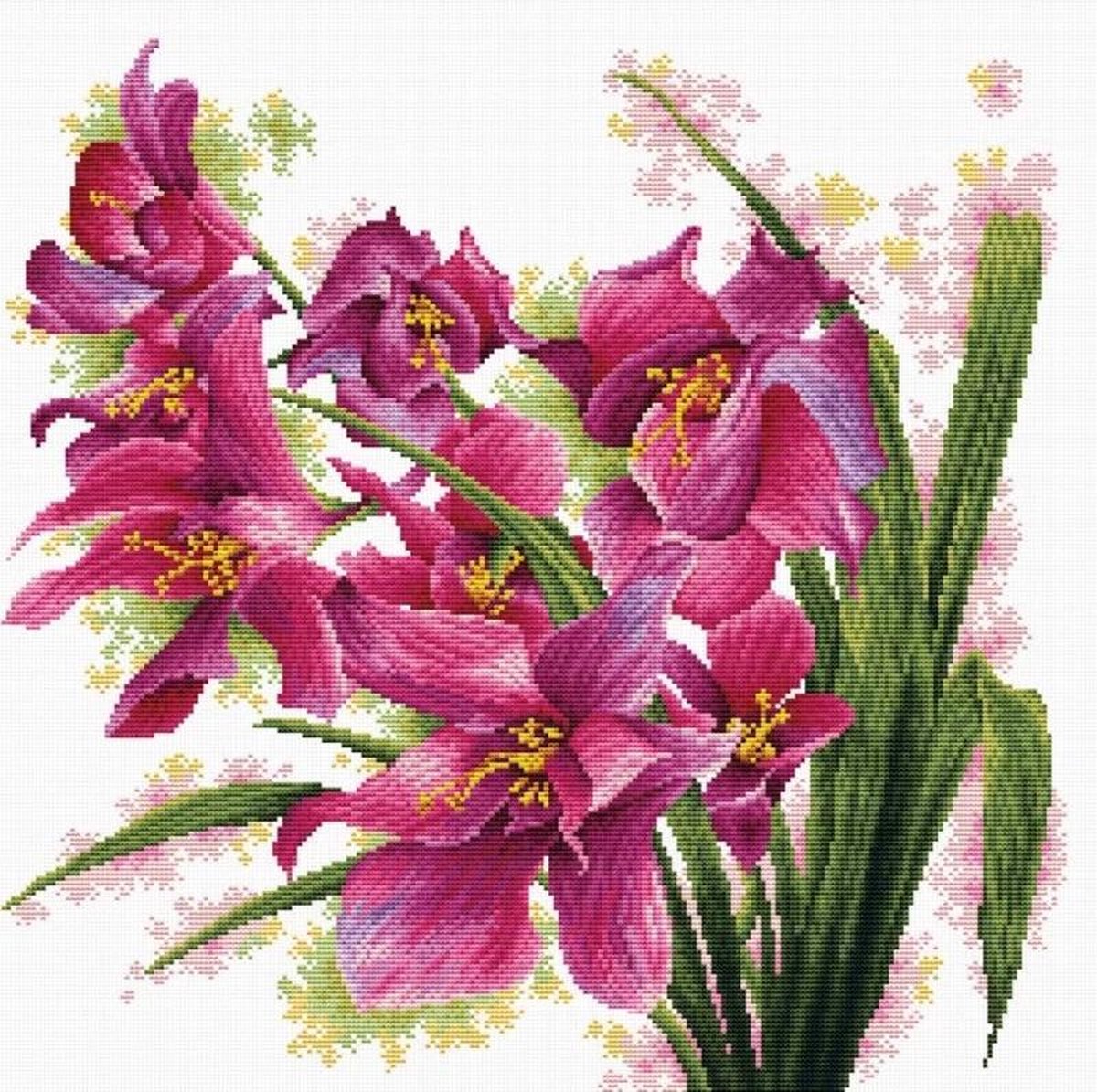 Volledige Borduurpakketen Volwassenen - Voorbedrukt - Hobby en Creatief - Borduurset - Voorbedrukt borduurpakket Lovely Orchids Needleart World op aida