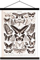 Support pour affiches avec affiche 60x80 cm - Affiche scolaire - Papillons - Animaux - Zwart - Wit - Affiche textile - Lattes noires