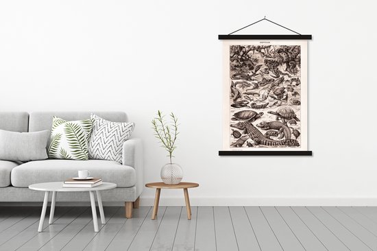 Porte-affiche avec affiche - Affiche scolaire - Reptiles - Animaux - Zwart - Wit - 120x160 cm - Lattes noires