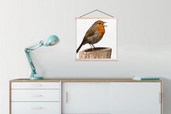 Porte-affiche avec affiche - Affiche scolaire - Robin - Vogel - Bois - 90x90 cm - Lattes vierges