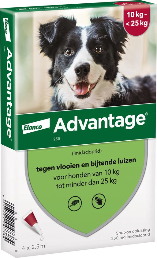 Bayer Advantage 250 Vlooiendruppels Hond 10-25 kg - 4 Pipetten