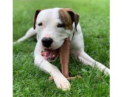 Spot Bam-Bones Plus Easy Grip Kip - Veilig Hondenkauwbot - M