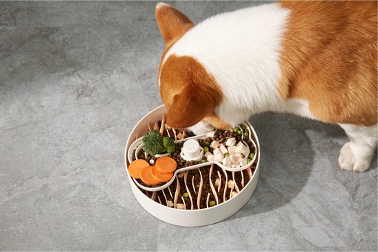Puzzle Feeder Slow Feeder - Voerpuzzel - Ø25x8 cm Wit Groen