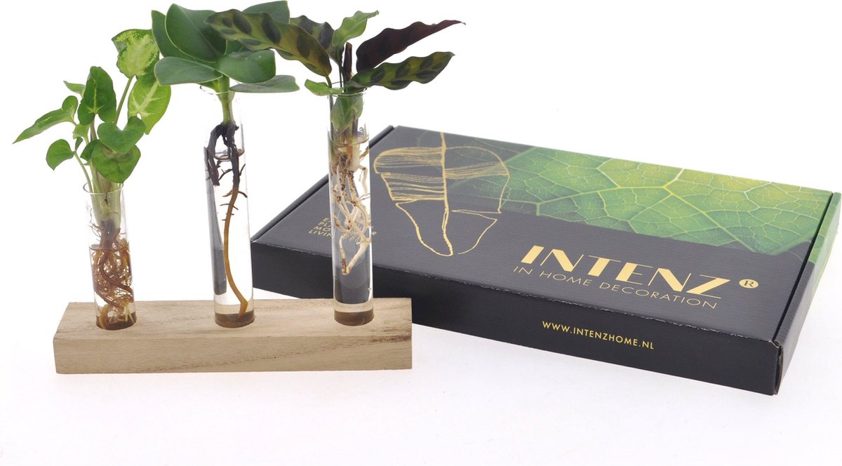 Intenz | Hydroponie | Gift Box | Brievenbuspakje