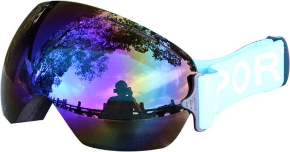 Bovista Skibril - Dames - Heren - Ski Zonnebril - Winddicht - UV-Bescherming - Ski - Wintersport - Ski Gadgets - Blauw