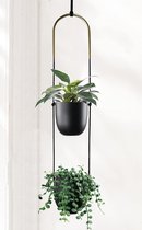 Plantenhanger voor aan de muur - Fenix trio | Ceramics Limburg - Gina Da | SIL-Stuff I Love