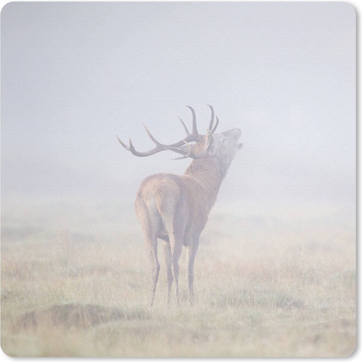 Muismat 30x30 cm - Mousepad Hert - Gras - Mist - Muismatten