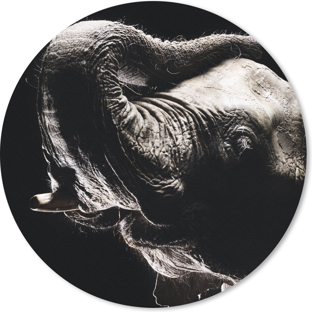 Muismat rond 30x30 cm - Mousepad Olifant - Zwart - Dieren - Portret - Ronde muismatten