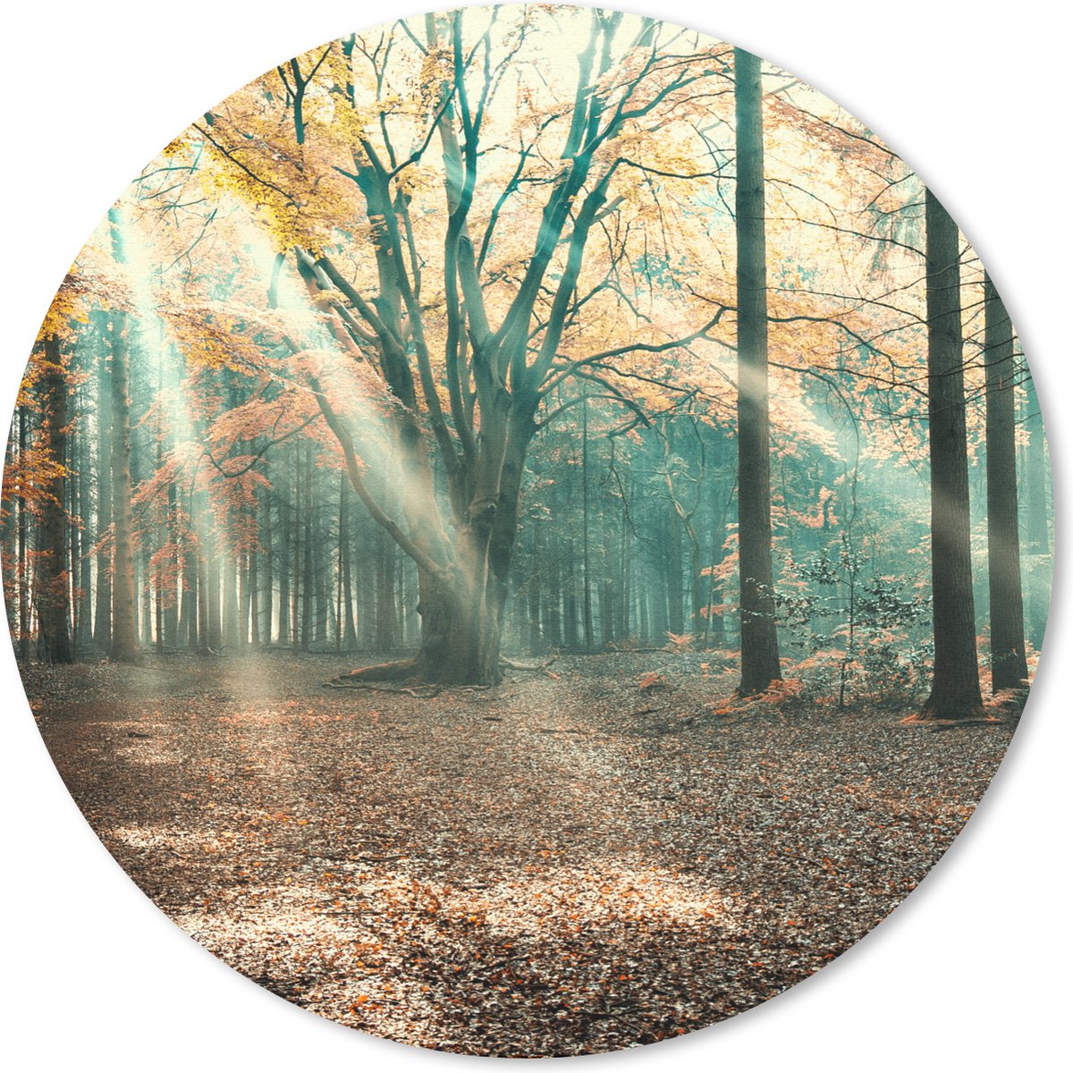 Muismat rond 50x50 cm - Mousepad Herfstbos in Nederland - Ronde muismatten