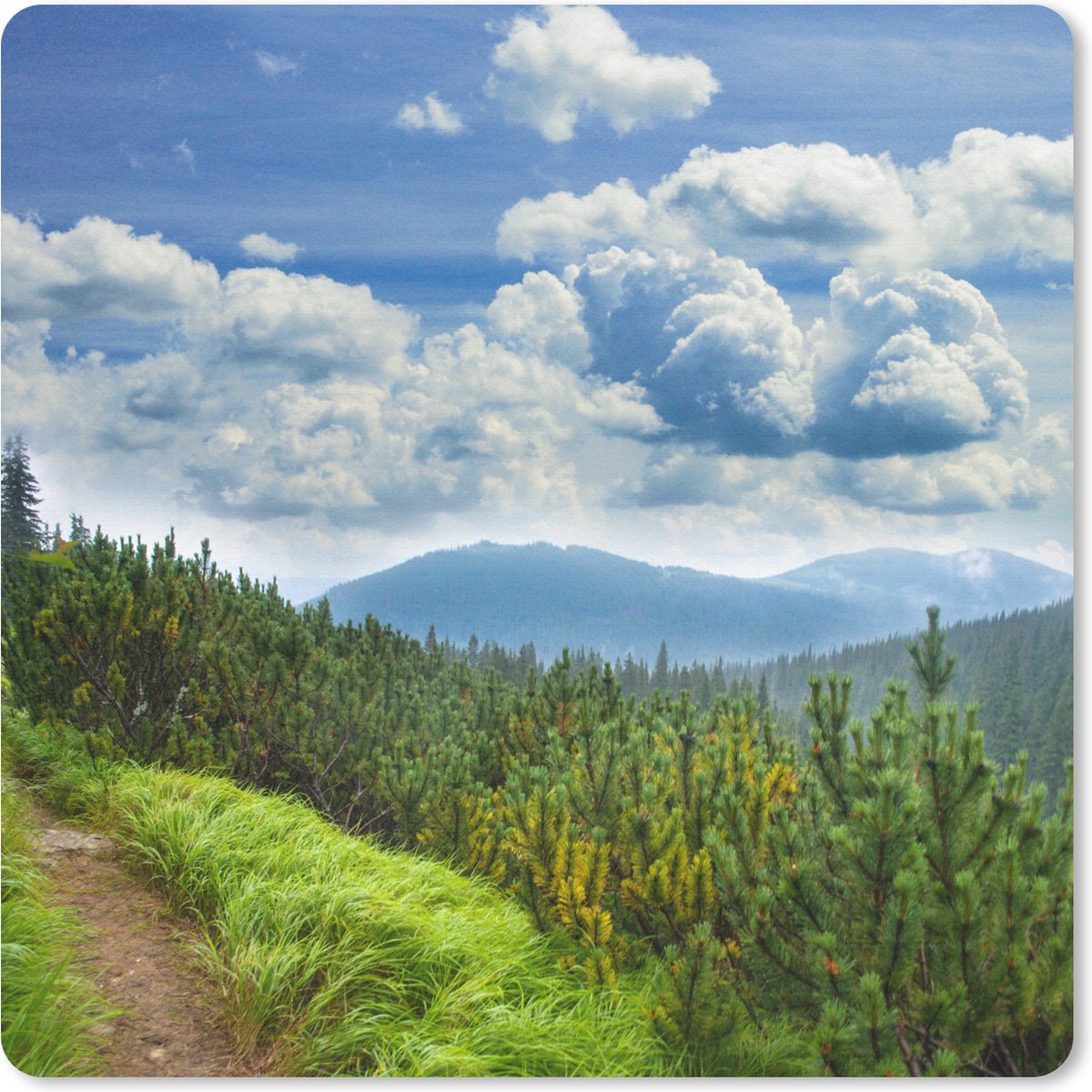 Muismat 30x30 cm - Mousepad Bos - Pad - Berg - Muismatten