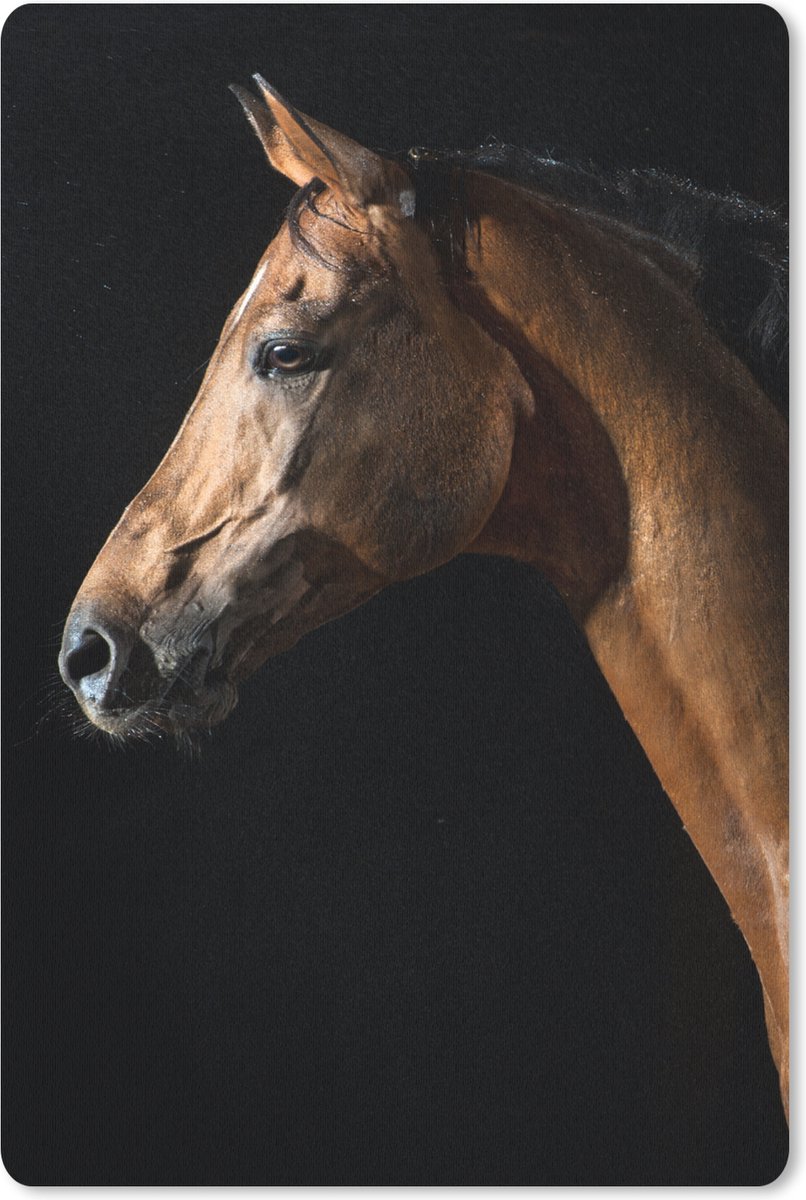 Muismat 18x27 cm - Mousepad Paard - Dieren - Nacht - Zwart - Muismatten