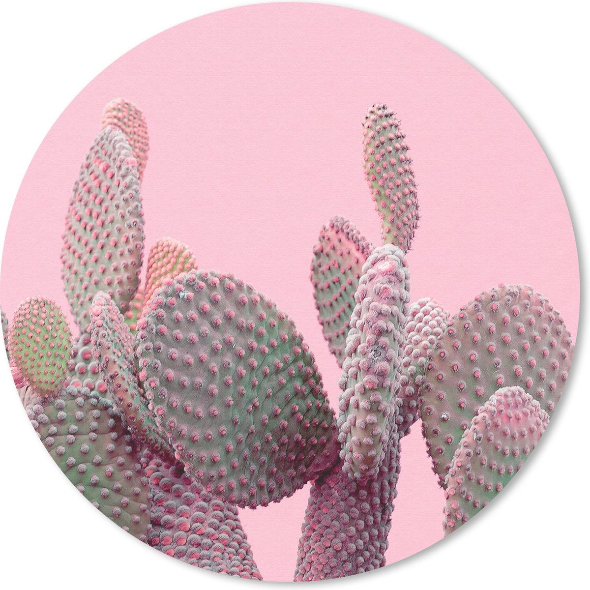 Muismat rond 40x40 cm - Mousepad Cactus - Planten - Zomer - Ronde muismatten