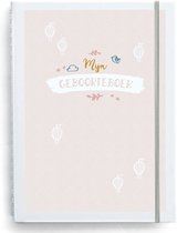 Maan Amsterdam Geboorteboek en Kraambezoekboek Roze - Invulboek rondom geboorte en kraamvisite - Opbergen geboortepost - Babyboek