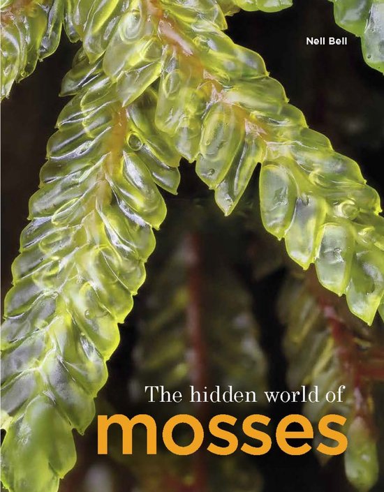 The Hidden World of Mosses - cover