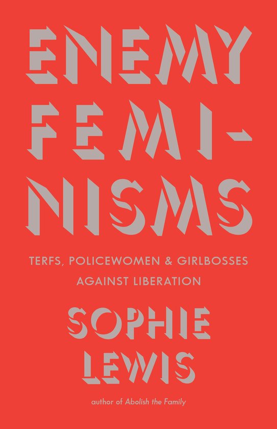 Enemy Feminisms - cover