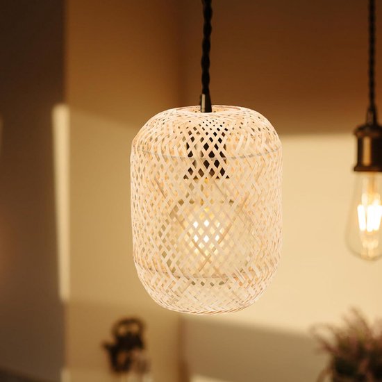 Euromini's Hanglamp, 3-pits matglas bol - Euromini's