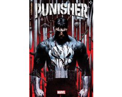 Omslag van Punisher Vol. 1