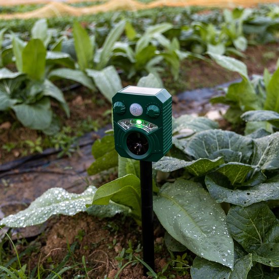 Groene MartGuard dierenvrjager in een groenteveld met grote groene bladeren en waterdruppels.