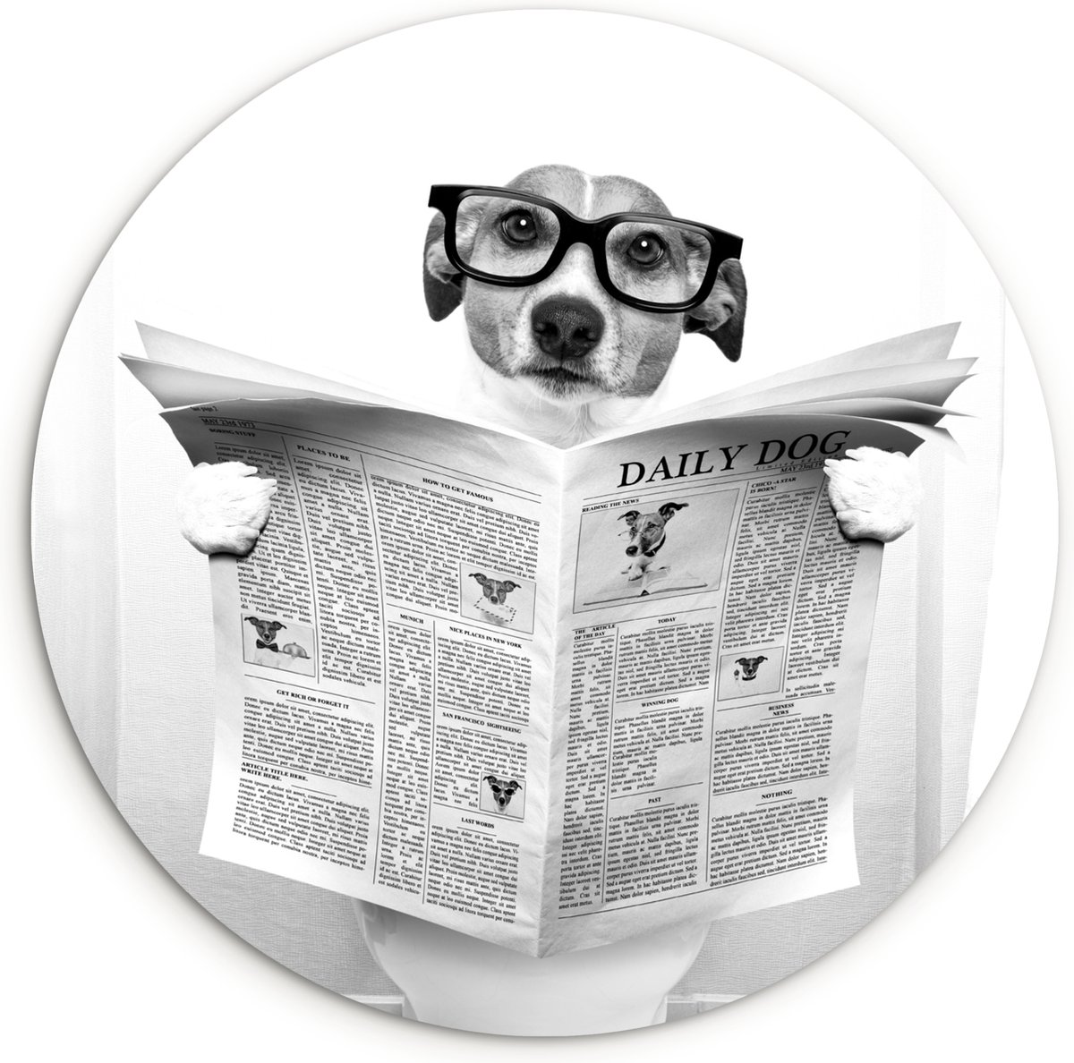 WallCircle® Wandcirkel 30x30 cm - Muurcirkel Hond - Krant - Toilet - Zwart wit - Dieren -