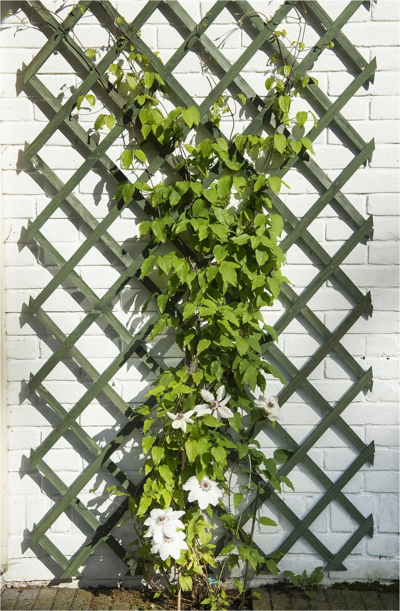 Nature - Houten klimrek (groen) - 1 x 2m - FSC — afbeelding 5