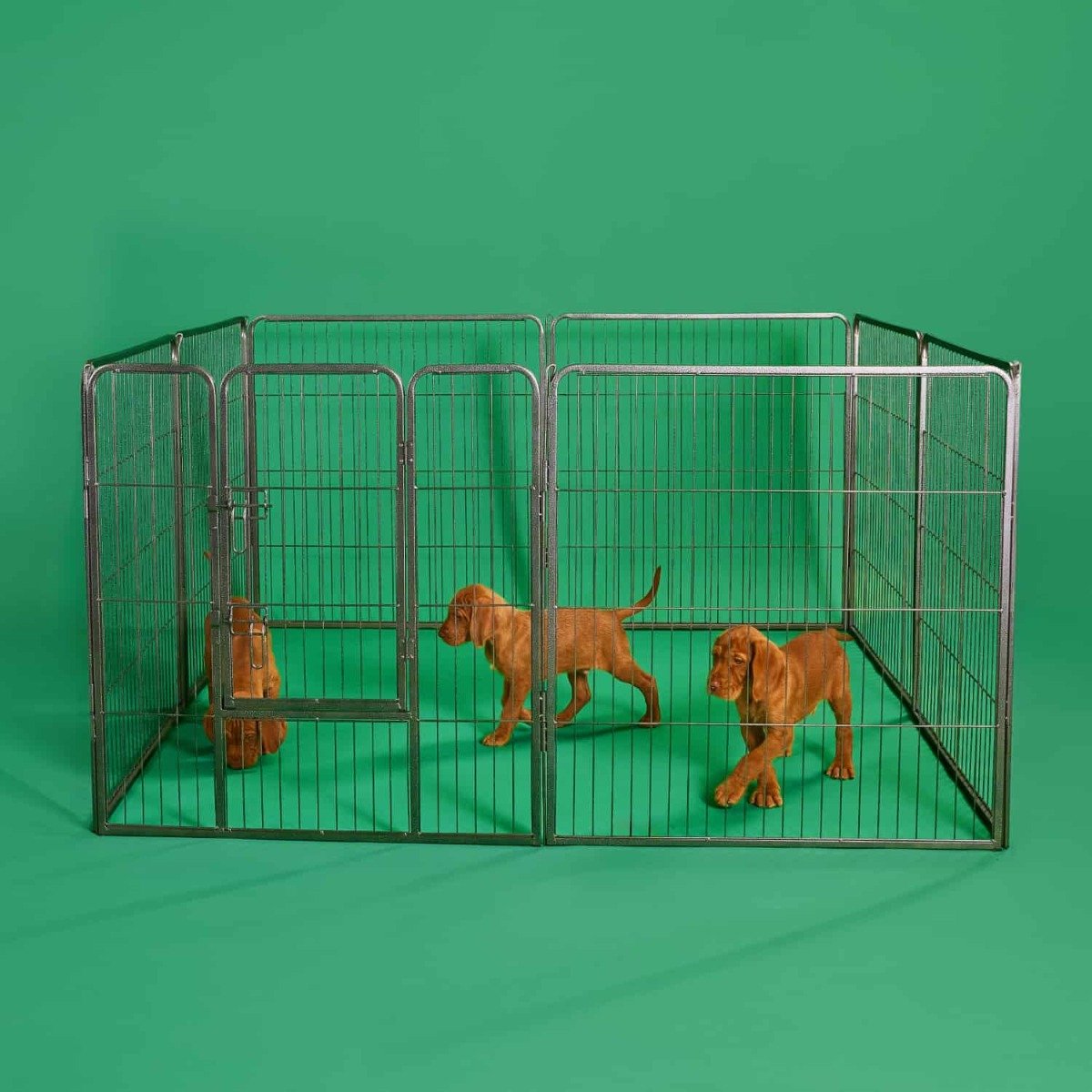 zoomundo Hondenren - Puppyren Hamerslag Koppelpennen Hondenbench Hond Puppy Ren met 4 Kennelpanelen