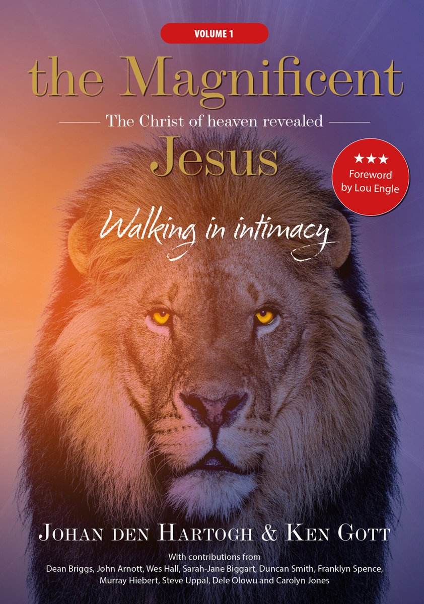 The Magnificent Jesus (Vol. 1) — E-book