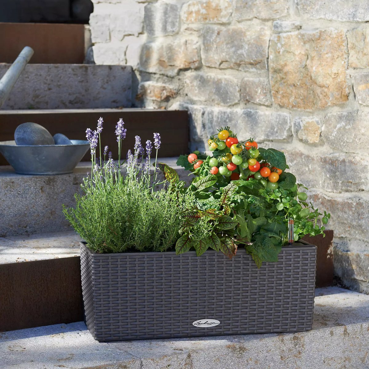 Lechuza Balconera Cottage 50 - Planter - with removable inner pot
