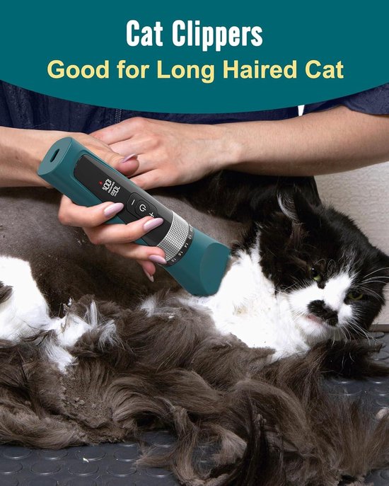 Kattenverzorgingsset: Essentiële Verzorging voor Katten