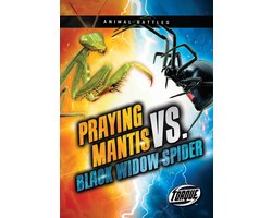 Animal Battles- Praying Mantis vs. Black Widow Spider