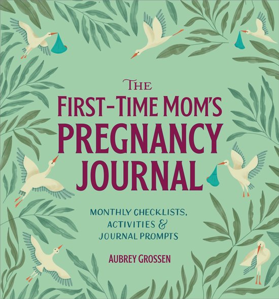 First Time Moms-The First-Time Mom's Pregnancy Journal - cover