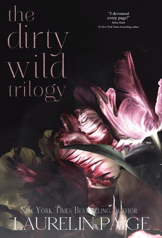 Dirty Wild Trilogy - cover