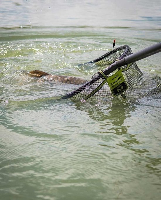 Matrix Carp Latex Landing Net - Maat : Medium 50x40cm van Matrix — afbeelding 4