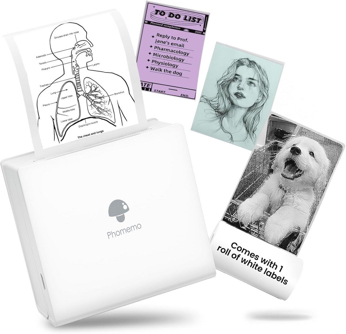 Mini Bluetooth Stickerprinter voor Smartphones - Draagbare Thermische Printer voor Journaling en Creatieve Projecten