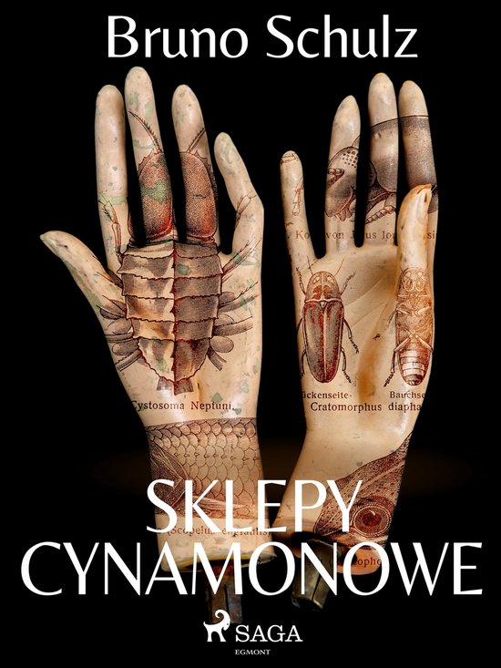 Sklepy cynamonowe - zbiór - cover