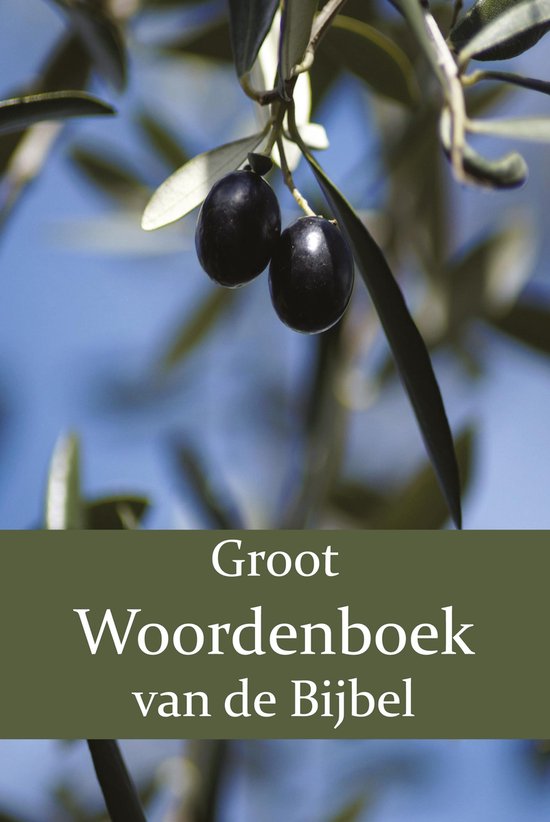 Foto: Groot woordenboek van de bijbel 3 groot woordenboek van de bijbel o z