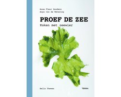 Proef de zee