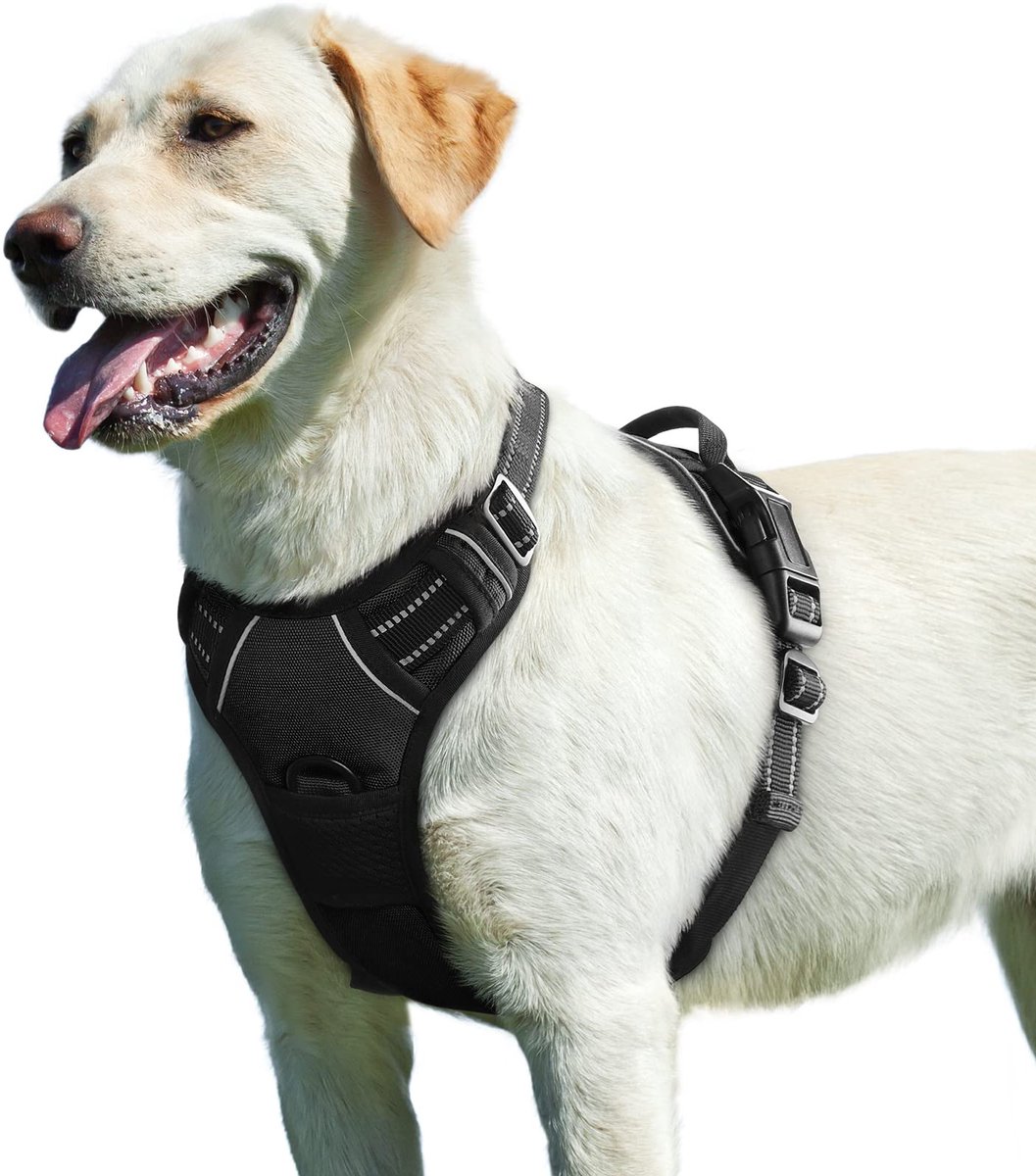 Ibenzoa® Robuust Borsttuig voor Honden, Verstelbaar en Comfortabel, Voor Actieve Dieren