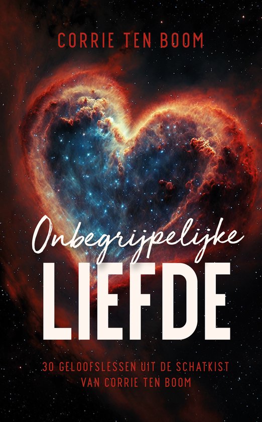 Onbegrijpelijke liefde - cover